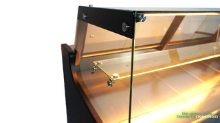 photo 8 vitrine réfrigérée thomas 1.3