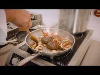 photo 8 plaque induction posable 2 zones  convient uniquement aux poêles à induction