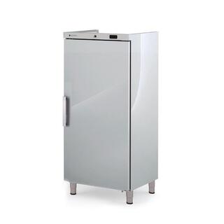 photo 1 armoire abs gn2/1 négative 1 porte