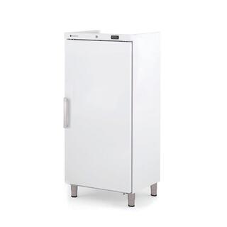 photo 1 armoire abs gn2/1 positive 1 porte