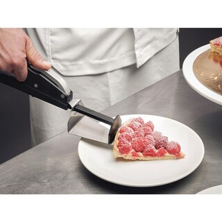 photo 4 pelle à tarte et pizza deglon push  pull