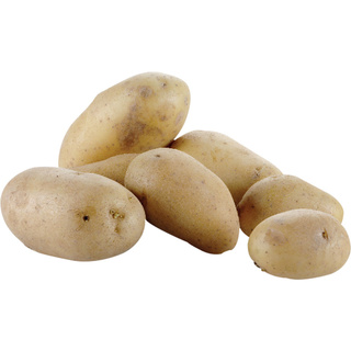 photo 2 eplucheuse pommes de terre sur pied 18 kg