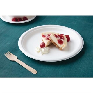 photo 2 assiettes en bagasse compostables fiesta compostable 26 cm x50
