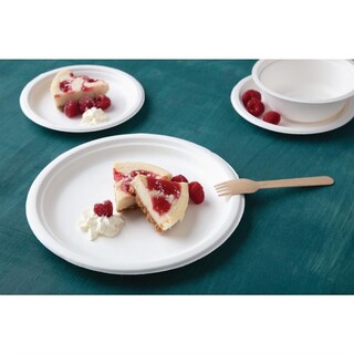 photo 3 assiettes en bagasse compostables fiesta compostable 26 cm x50