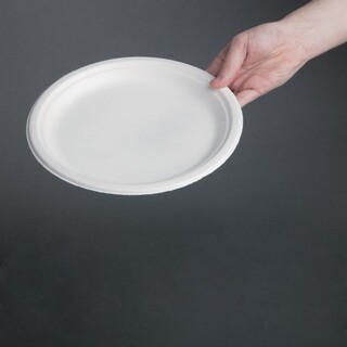 photo 7 assiettes en bagasse compostables fiesta compostable 26 cm x50