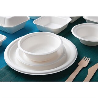 photo 8 assiettes en bagasse compostables fiesta compostable 26 cm x50