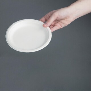 photo 6 assiettes en bagasse compostables fiesta compostable 17,9 cm x50