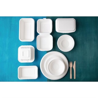 photo 7 assiettes en bagasse compostables fiesta compostable 17,9 cm x50