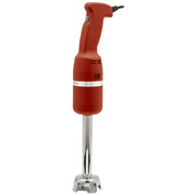 Mixer plongeant 250 W
