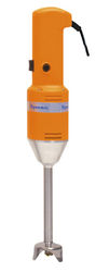 Mixer plongeant 250W