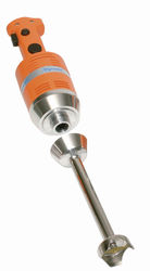 Mixer plongeant 270W