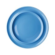 Photo 1 matériel référence DW141: Assiettes bord surélevé heritage olympia bleues 253mm lot de 4