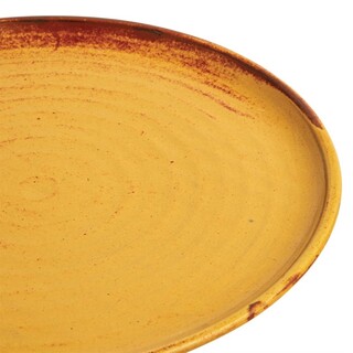 photo 8 assiettes plates terre de sienne olympia canvas 26,5 cm