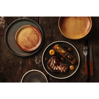 photo 4 assiettes plates bord droit vert bronze olympia canvas 25 cm (lot de 6)