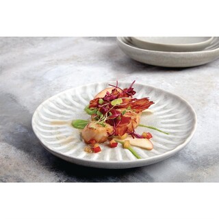photo 8 assiettes plates olympia corallite grises 205 mm (lot de 6)