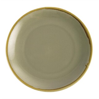 photo 1 assiette plate ronde couleur mousse olympia kiln 280mm