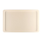 Photo 1 matériel référence DR858: Plateau de service en polyester Roltex GN1/1 530x325mm beige