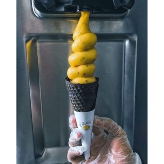 photo 2 distribution de glaces et softs