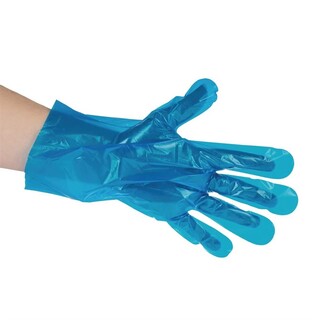 photo 1 gants de préparation alimentaire compostables vegware bleus taille m lot de 2400
