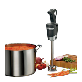 photo 2 mixer plongeant à tête fixe - débit moyen