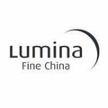 Marque de fabrication de l'équipement CD621: Lumina Fine China